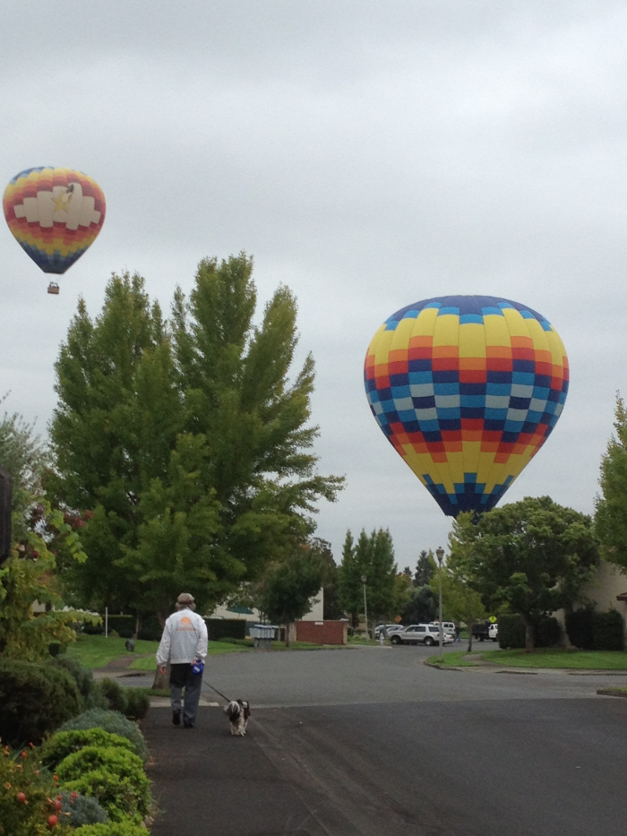 yountville california restaurants