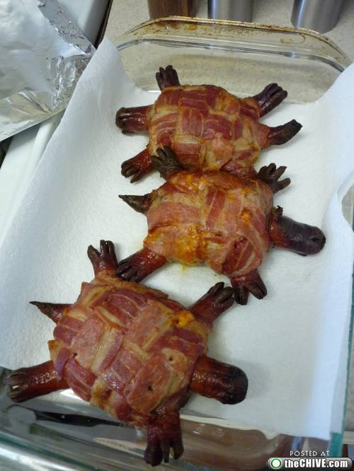 bacon wrapped hot dog turtle burger